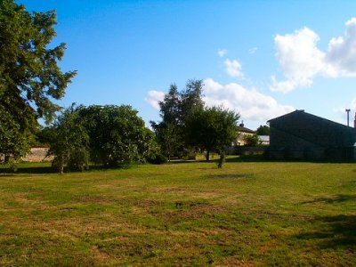 The view from the garden, with peach, pear, fig and plum trees