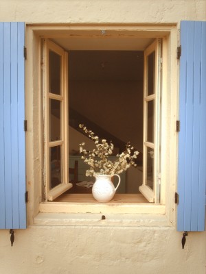 Pick your own fruit in the garden, there is lots to choose from