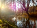 Wonderful walks can be taken along the river Sompteuese