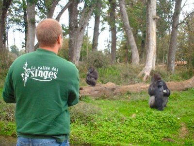 La Vall�e des Singes is a great day out for all ages