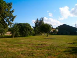 The spacious and secure garden
