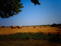 A view across the fields in Sompt